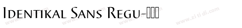 Identikal Sans Regu字体转换